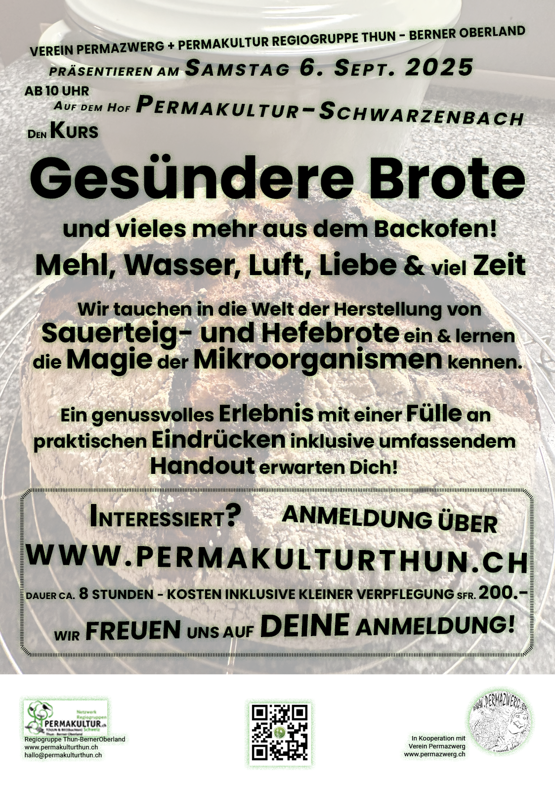 Gesuendere Brote - Kurs 2025 Plakat zum Pizza-Kurs
